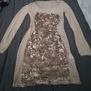 Sequined bodycon dress